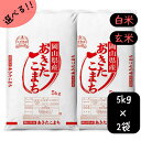 米 10kg 送料無料 あきたこまち 岡山県産 令和5年産 単一原料米 アキタコマチ 5kg×2 送料無料 秋田こまち 白米 玄米 精米 お米 食品 新米 米10キロ　　　　米10kgあきたこまち