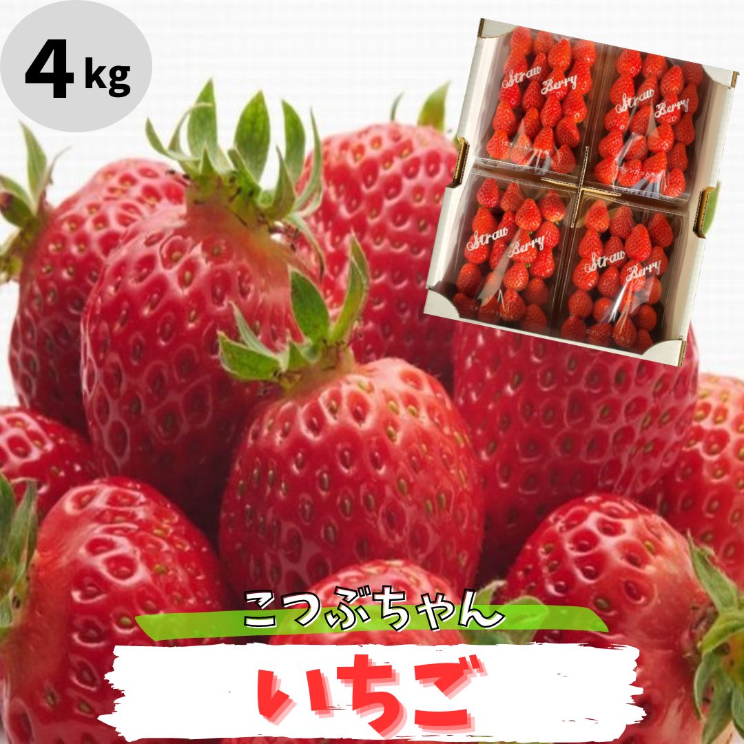 【早い者勝ち!最大2000円OFFクーポン有】いちご 訳あり 小粒 4kg 送料無料 チルド ジャム用 加工用 250g×16パック イチゴ 苺 ジャム 加工 品種おまかせ 甘い 完熟 新鮮 美味しい お取り寄せ おいしい 自宅用 訳アリ わけあり 果物 フルーツのサムネイル