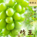 【先行予約】シャインマスカット 晴王 岡山県産 特秀 700g 選べる容量 1房 6房 大房 送料無料 ギフト 贈答用 御中元 御歳暮 敬老の日 葡萄 ぶどう ...