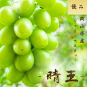 【先行予約】シャインマスカット 晴王 岡山県産 訳あり 選べる容量 1kg 1.2kg 2kg 優品 送料無料 ギフト 贈答用 御中元 御歳暮 敬老の日 葡萄 ...