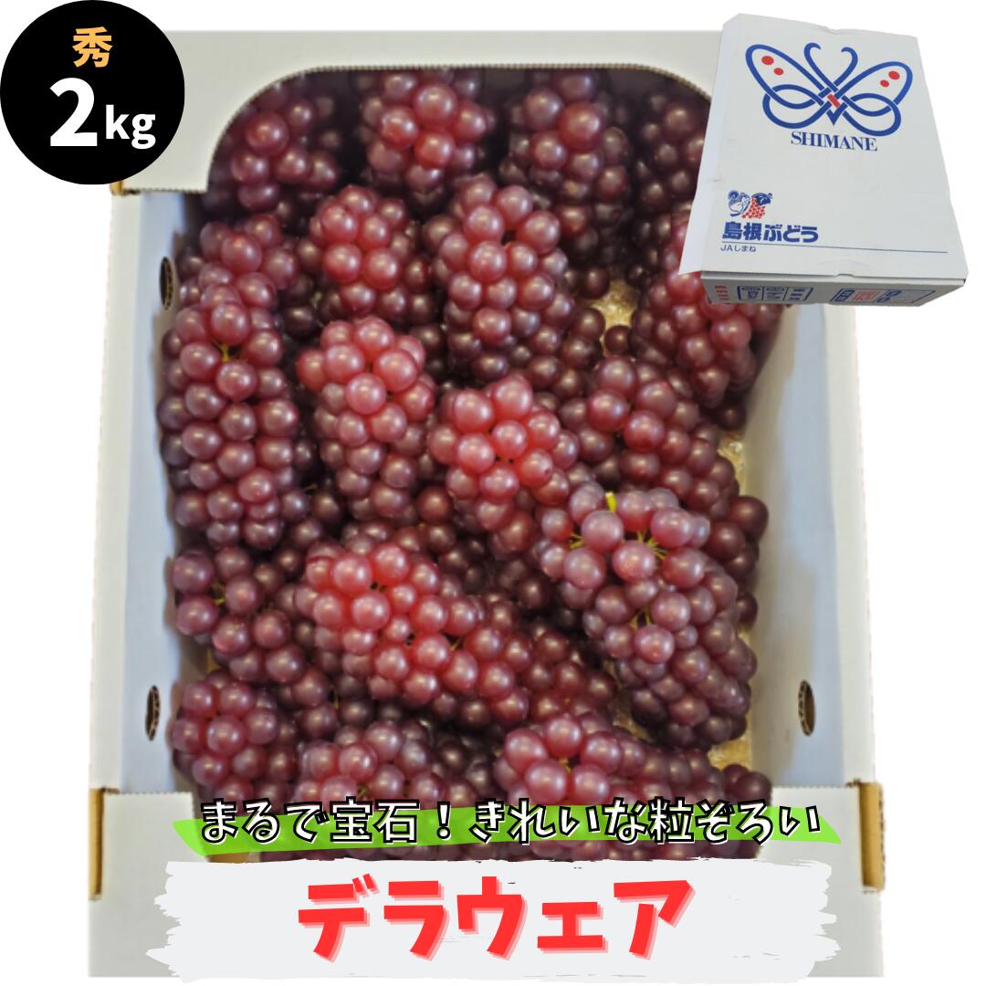 【先行予約】デラウェア 2kg 秀品 島根県産 8～14房 送料無料 デラウエア ギフト 贈答用 御中元 御歳暮 敬老の日 葡萄 ぶどう ブドウ プレゼント 御礼 御祝 御供 果物 くだもの フルーツ　　島根県産デラウェア