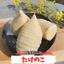 たけのこ 筍 水煮 国産 1kg 1.5kg 2kg 下処理済 ボイル済 下茹で 岡山県産 春 ごはん ご飯 タケノコ チルド 送料無料 食品 野菜　　　　　　たけのこ水煮