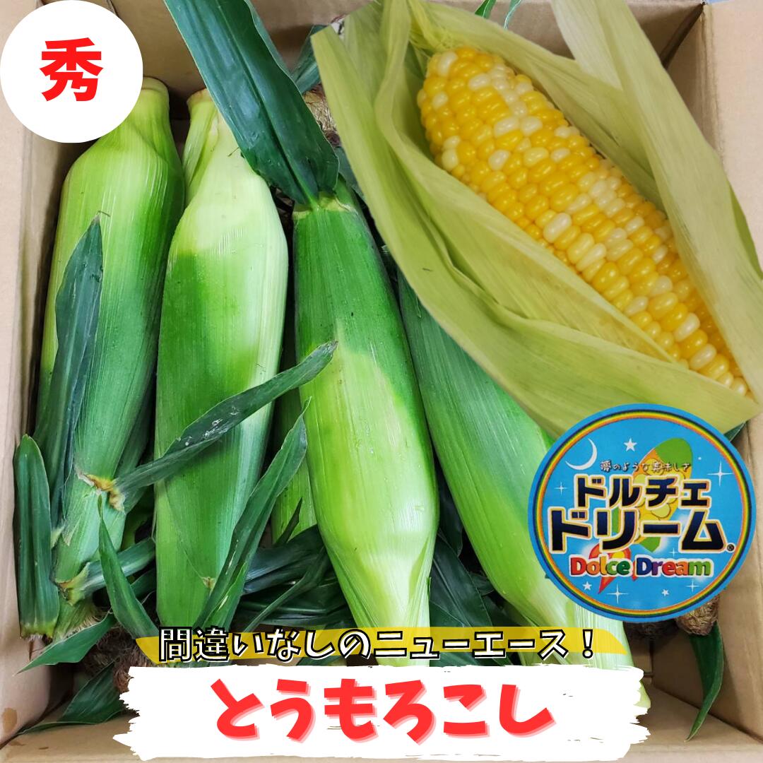 全国お取り寄せグルメ香川野菜・きのこNo.5