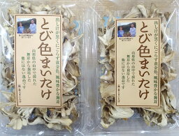 【送料520円込　まとめ買いは送料調整します】[肘折に花を!] 山形県産　とび色乾燥舞茸　24g×2個【送料無料】