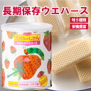 キャラクター缶 お菓子 非常食 おかし 子供 ウエハース 【メディア掲載】 12種類 えほんのじかん くまのがっこう はらぺこあおむし こぐまちゃん レオ・レオニ バニラ味 イチゴ味 リンゴ味 バナナ味 ブルーベリー味 おやつ 備蓄食 緊急 非常用 そなえるウエハース キャラクター お菓子 缶 おやつ