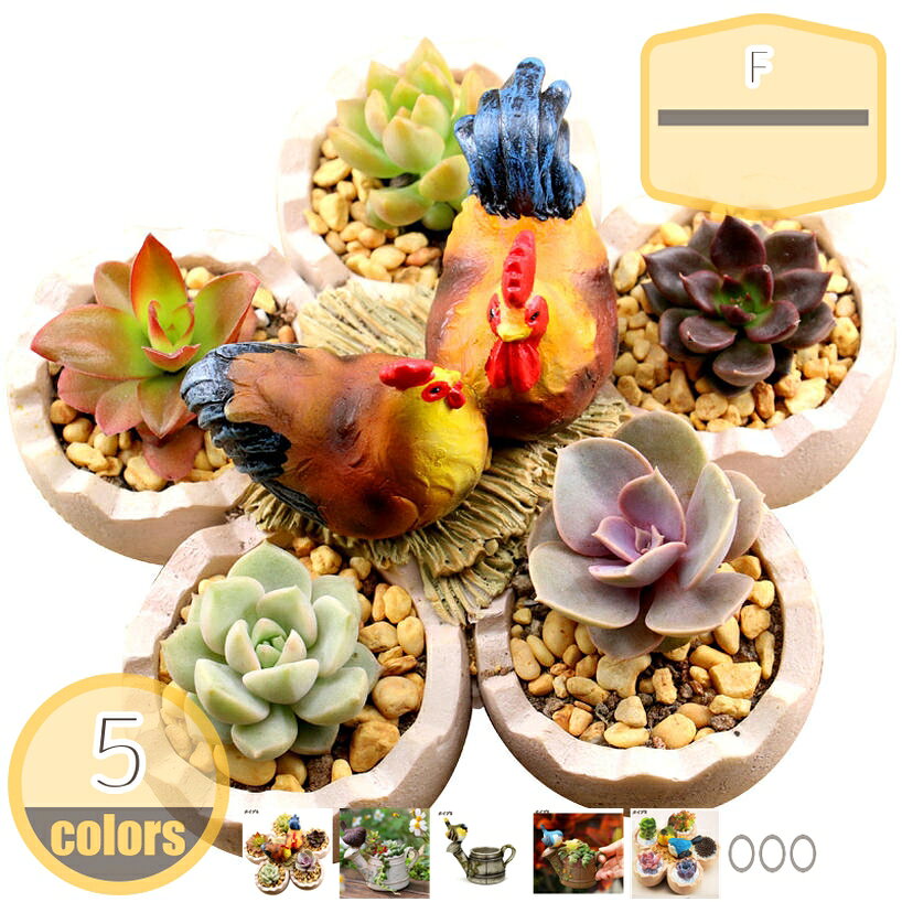 メイン素材：レジン（植物は含まれません）■材質：レジン製【商品名】：動物型の植木鉢【サイズ】●タイプ1＝長（14cm）高（10cm）口径（5cm） ●タイプ2＝長（14cm）高（10cm）口径（5cm） ●タイプ3＝長（14cm）高（10cm）口径（5cm） ●タイプ4＝長（16cm）高（11cm）口径（5*4cm） ●タイプ5＝長（16cm）高（11cm）口径（5*4cm）。小さな植木鉢は、小さな多肉植物、ミニサボテン、ハーブ、空気植物、または造花に適しています。動物の外観が特徴で、植物の所有者の素敵な甘い雰囲気が増し、お気に入りの植物を非常によく表示できます。庭の装飾、リビング、ダイニング 、花壇、芝生のデコレーション、階段の装飾品、庭アート飾り、屋外の飾り物、卓上の装飾品、ゼントルームの装飾......その他家の多くの場所として使用するのに適しています。御挨拶・引越し・贈答・新築・転勤・祝用・誕生日・記念日・卒業などの場合、素敵なギフトとして園芸が上手な友達やご家族、先生、上司に送っても最適です。自分の家に置いても最高です。屋外でも全然大丈夫！樹脂素材でできており、丈夫で耐久性があり、自然で美しい色で、雨の中で滑らかで完全で、耐久性があります。表面コーティングは製品を保護し、耐久性、耐候性、耐日光性、防水性を備えています。【商品名】 ：動物の置物（植木鉢 ） 【素材】：ポリレジン 【スタイル】：北欧風 【サイズ】 ●タイプ1＝長（14cm）高（10cm）口径（5cm） ●タイプ2＝長（14cm）高（10cm）口径（5cm） ●タイプ3＝長（14cm）高（10cm）口径（5cm） ●タイプ4＝長（16cm）高（11cm）口径（5*4cm） ●タイプ5＝長（16cm）高（11cm）口径（5*4cm） ●●●●●●●●●●●●●●●●●●●●●●●オススメポイント●●●●●●●●●●●●●●●●●●●●●●●●●●● 【雰囲気アップ】 ●見えるところに飾れば、その愛くるしい姿に癒される ●ガーデン用だけでなく室内で塀の上・事務室・卓上・部屋・リビングや階段などにオブジェとして使っていただくのも素敵です。 ●ユニークでシンプルなプランターポットにより、誰もが自分の創造性を開発するためのスペースを増やすことができます。 ●家の装飾に適しています。 誕生日、クリスマス、新婚、新築祭、庭師など、植物を植えるのが大好きな友人や家族のためのホリデーギフトとして完璧です。 【ご注意】 ■商品写真はできる限り実物の色に近づけるよう加工しておりますが、お客様が使用するパソコンのモニター設定や部屋の照明により多少、色の変化が感じられる場合がございます。 ■ キーワード： 陶器鉢 多肉植木鉢 サボテン鉢 ミニ鉢 鉢 ミニ植物適用 観葉植物ポット フラワーポット サボテンポット 装飾プランター 鉢植え プランター 植木鉢ご注意ください。本ページの情報は参考用です。実際の商品はお手元にDIYキット 木 椅子 子供 ミニチュア ヒノキの馬 大人 内窓 棚 風水置物 金運 人気の風水置物ランキング 玄関風水置き物 カエルの置物 おきもの インテリア おもしろ アンティークねこ オーナメント 小鳥 きのこ 三角 魚 小さい うさぎ オーナメント 白 シャンデリア シルバー おしゃれ 砂時計 吊るす 浮かせる 多肉植物 寄せ植えオーナメント ソーラー 誕生日置物 天使 テーブル 店舗 鉄 手 鳥 トレイ とり 陶器 トトロ と物置 夏 夏祭り 名入れ 波 懐かしい 人気の雑貨 おしゃれな置物ランキング いなばの物置 屋外 綺麗な置物 庭 大きい ガーデニング置物 ライト かわいい ガーデニング 屋外 照明 庭園灯 ledランタン ソーラー りんご リンゴ 金 龍 水杯 銅製 龍神 七夕 飾り 置き物 かえる 見ざる聞かざる言わざる 光る置物 レトロ