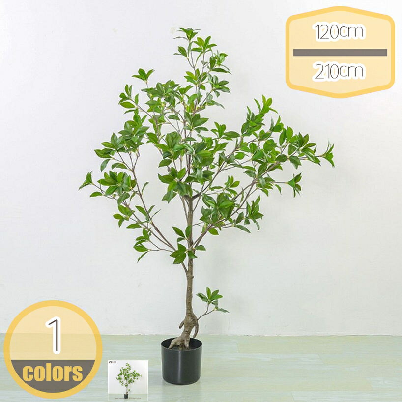 フェイクグリーン 人工観葉植物 馬酔木 造花 多幸の木 鉢植え 植木 お手入れ不要 インテリア 家の中に置く ホーム 玄関 キッチン オフィス おしゃれ 世話がない 水やり不要 観葉樹 飾り プレゼント用 ホームデコレーション hikari-plus