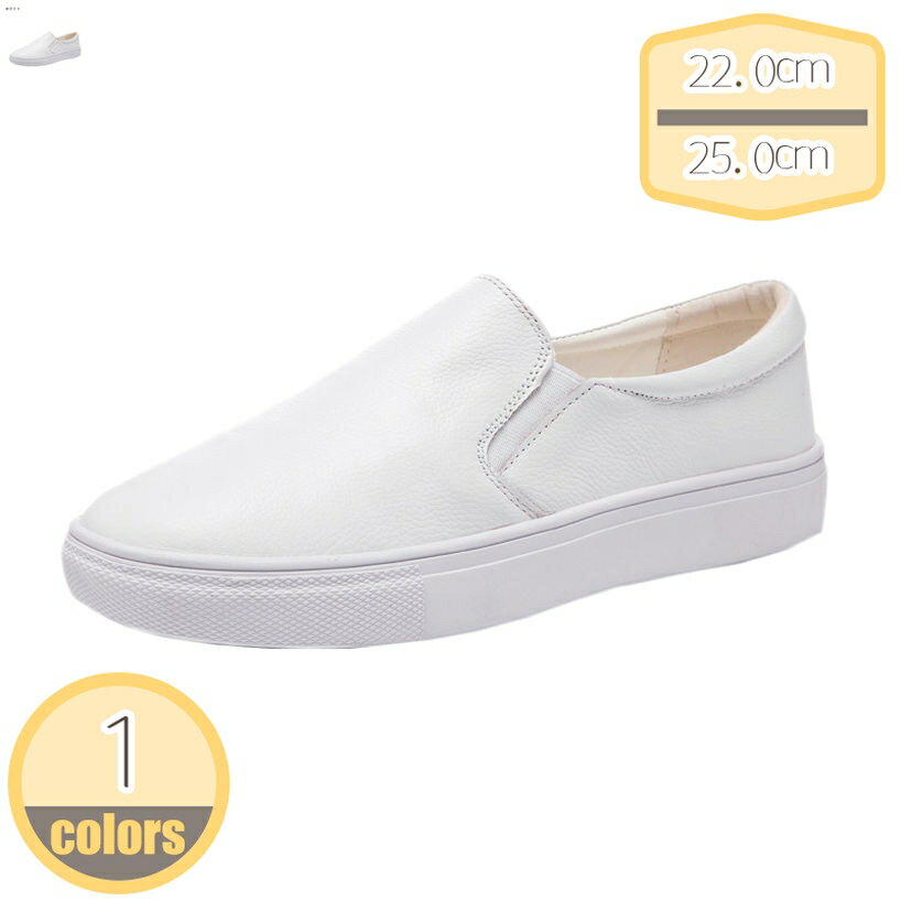 500��OFF�����ݥ� ���˥󥰥��塼�� ���ˡ����� ��ǥ����� ���� ���� ���������󥰥��塼�� ��ư�� ���� ���ݡ��ĥ��塼�� �̵� �̶� �̳� ���쥹...