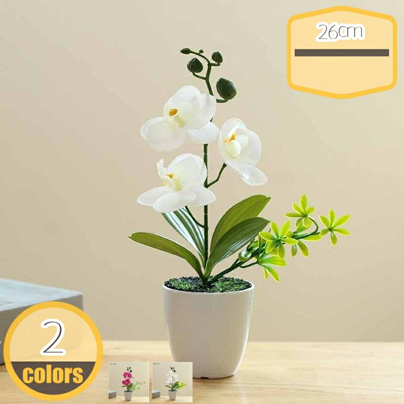 Rakuten - 300円OFFクーポン ミニ 胡蝶蘭 造花 鉢植え インテリア 人工観葉植物 シルクフラワー 可愛い 手作り 枯れない花 フェイクフラワー 敬老の日 誕生日 インテリア飾り 卓上 オフィス フェイク胡蝶蘭 新築祝い お開店祝い ギフトに最適 hikari-plus