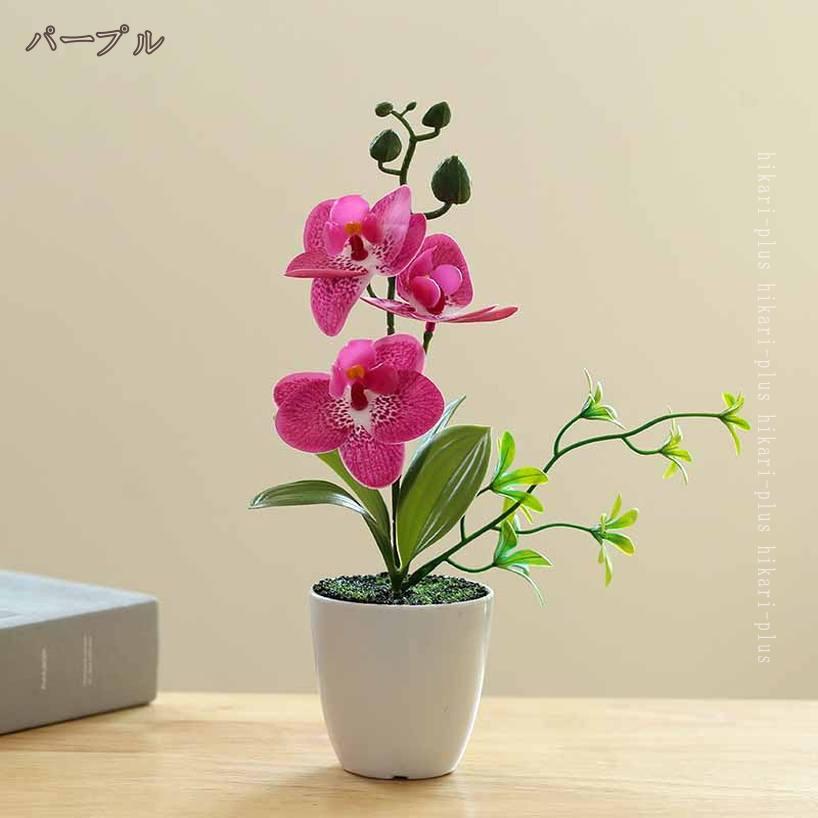 300円OFFクーポン ミニ 胡蝶蘭 造花 鉢植え インテリア 人工観葉植物 シルクフラワー 可愛い 手作り 枯れない花 フェイクフラワー 敬老の日 誕生日 インテリア飾り 卓上 オフィス フェイク胡蝶蘭 新築祝い お開店祝い ギフトに最適 hikari-plus