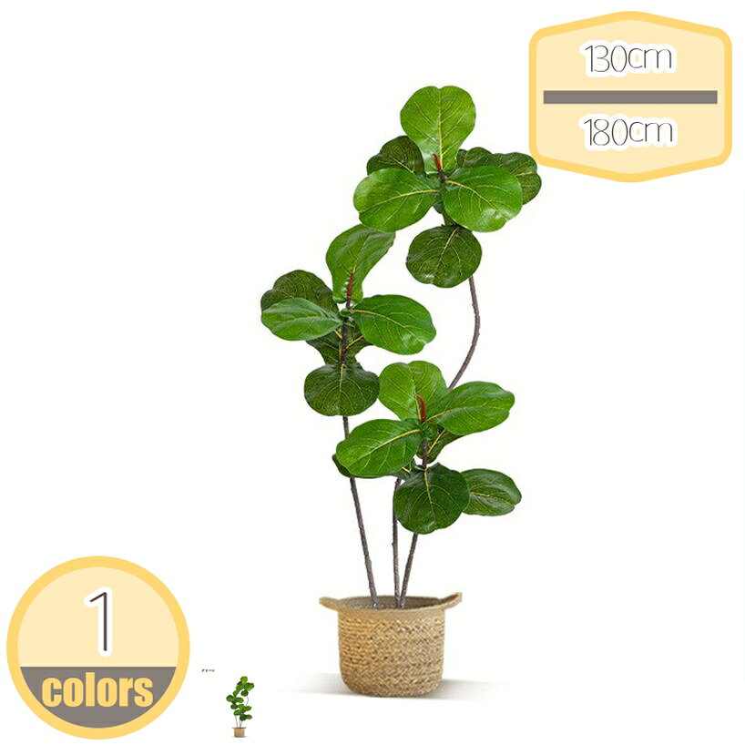 フィカス・リラータ 観葉植物 フェイクグリーン 大型 リアル おしゃれ 鉢付き プレゼント インテリア 人工観葉植物 飾り用 造花 本物そっくり 侘寂風 北欧風 室内 屋外 オフィス 在宅 フェイク植物 盆栽植物 撮影用 部屋飾り hikari-plus
