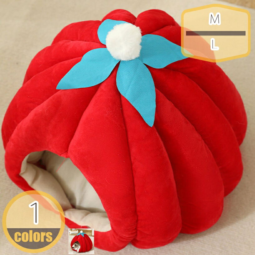 500��OFF�����ݥ� �ڥåȥϥ��� �ɡ��෿ ������ ���ϥ��� ǭ�ϥ��� ���ܥ��� ���٥å� ǭ�٥å� ������ ǭ ������ ����åȥϥ��� ������ �ڥåȾ���...