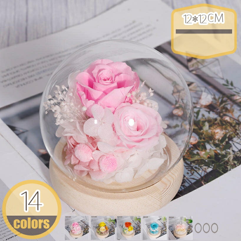 ガラスドーム バラ プリザーブドフラワー プチドーム 鮮やかな色合い ドライフラワー プレゼント お祝..