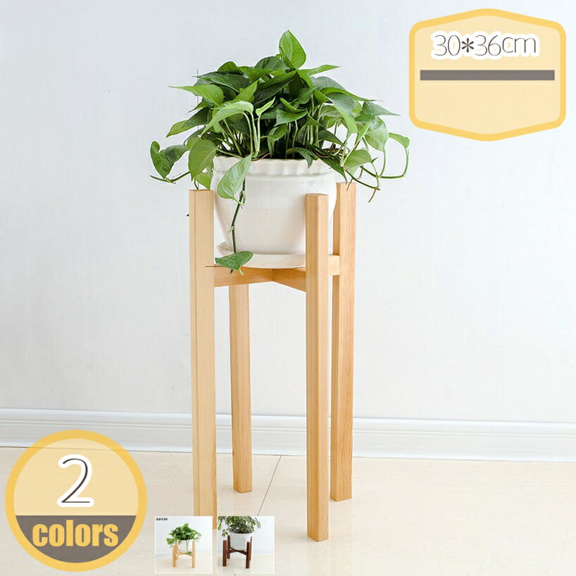 500円OFFクーポン庭の植物スタ...