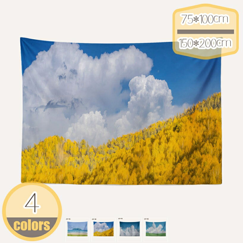 タペストリー おしゃれ 大判 ファブリックポスター 北欧 韓国 インスタグラム 壁飾り 壁掛け ファブリ..