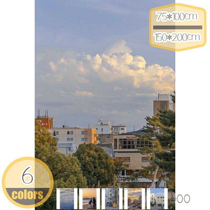 300��OFF�����ݥ� ���ڥ��ȥ꡼ ������� ��Ƚ �ե��֥�å��ݥ����� �̲� �ڹ� ���󥹥������ �ɾ��� �ɳݤ� �ե��֥�å� ¿��ǽ���ڥ��ȥ꡼ ������...