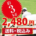 新米【令和5年収穫】お試し玄米3kg ひかりのお米【送料無料・精米無料】特別栽培 山口県産