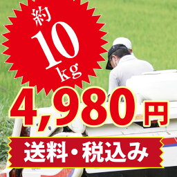 新米【令和5年収穫】10kg ひかりのお米【送料無料・精米無料】特別栽培 山口県産