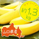 【ひかりバナナ】1.3kg 国産バナナ バナナ 国産 ひかりバナナ もんげーバナナ 無農薬 フルーツ ...