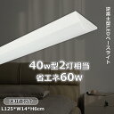 逆富士型 LEDベースライト 40W形 LED蛍光灯 60W 12000ルーメン 高輝度LEDベースライト 125CM 薄型蛍光灯 LED蛍光灯 天井直付型 直...