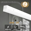 防湿型LED照明 LEDベースライト 40W型相当LED 118CM 50W消費電力 高輝度10000lm 40W形 2灯相当 天井直付 40形 昼光色 昼白色...