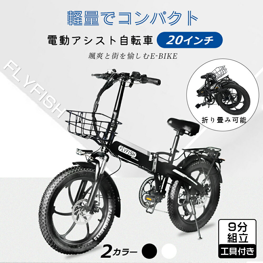 2024新登場 型式認定車両 公道走行可