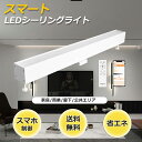 スマート 照明 直管型シーリングライト ダクトレール用 引掛けシーリング用 レールライト おしゃれ 照明器具 天井 led 8畳 12畳 最新スマート天井灯 B...