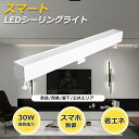 【最新技術のスマートシーリングライト】 led シーリングライト 12畳 調光 調色 高演色性 省エネ 天井照明 リモコン付き Bluetooth対応 タイマー...