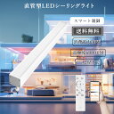 LEDシーリングライト 引掛シーリング 簡単取付 直管LED形デザイン 8畳用 10畳用 明るい ミニマル モノトーン リビング ダイニング キッチン 廊下 ダ...