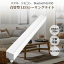 多機能LED天井灯 直管型シーリングライト 30w 6000lm 蛍光灯照明器具 ダクトレール用 引掛けシーリング用 LEDシーリングライト リビング用 キッチ...