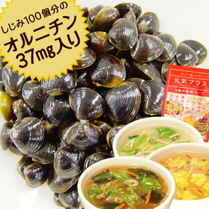 <1袋>元気プラス オルニチン入り 春雨スープ 10食しじみ100個分 オルニチン 37mg スープ春雨 スープはるさめ シーフード かきたま 中華スープ インスタントスープ 即席スープ 簡単 手軽 時短 ひかり味噌 メーカー直送