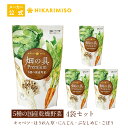 訳あり アウトレット SALE ＜20％OFF＞【賞味期限:2024年7月末日】5種の国産野菜 ドライベジタブルミックス畑の具Premium 120g（×4袋）ドライ野菜 カット野菜 保存食 非常食 備蓄 具材 送料無料 在庫処分 無くなり次第終了 outlet セール ひかり味噌