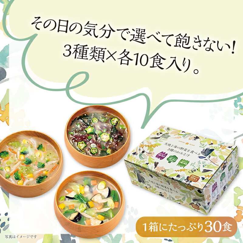 体にやさしいみそ汁 セット 大地と海の野菜を食べるおみそ汁30食3種の味＋有機そだちのおみそ汁6食x3袋即席 味噌汁 食品 食べ物 詰め合わせ 詰合せ 福袋 オーガニック 有機JAS認証 送料無料 インスタント ひかり味噌
