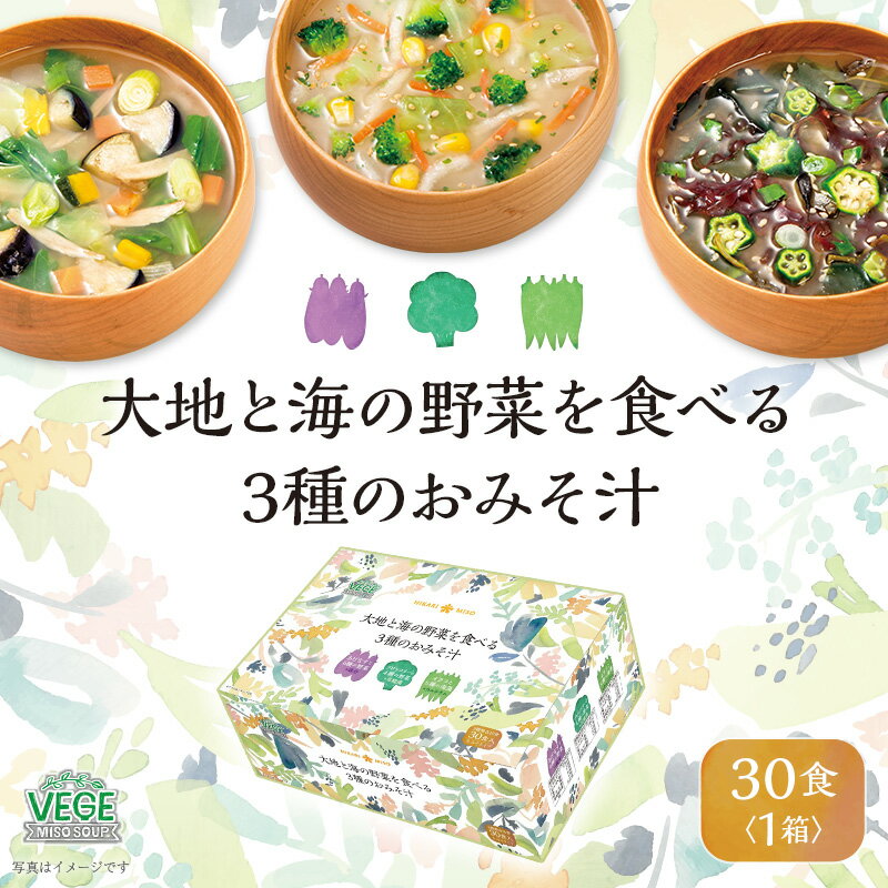 【送料無料】大地と海の野菜を食べる3種のおみそ汁30食（×1箱） 具沢山 あげなすと6種の野菜みそ汁 ブロッコリーと4種の野菜みそ汁 オクラと5種の海藻みそ汁 全3種 具だくさん インスタント 即席みそ汁 朝食 お弁当・ランチ 夜食 仕送りに ひかり味噌のサムネイル