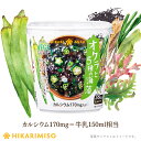 カップ 味噌汁 VEGE MISO SOUPオクラと5種の海藻×6カップカルシウム170mg入り 具沢山 生みそ 即席 みそ汁 インスタント 簡単 便利 即席 手軽 ランチ 野菜 栄養サポート ひかり味噌