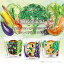 【新商品】【まとめ買い5%OFF】VEGE MISO SOUP 3種セット(ブロッコリー・オクラ・あげなす)×各種6カップ乳酸菌200億個/カルシウム170mg/鉄分5.6mg/生みそ/即席みそ汁/カップ味噌汁/インスタント/簡単/便利/即席/手軽/ランチ/洋風みそ汁