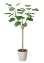 光触媒 光の楽園 ウンベラータ 1.8m フェイクグリーン 大型 人工観葉植物(172K370)(※ラッピング不可)