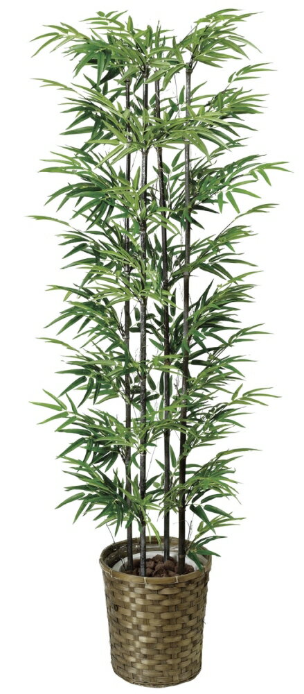 光触媒　光の楽園 黒竹 高さ1.6m 幹：天然竹【フェイクグリーン 大型 人工観葉植物】