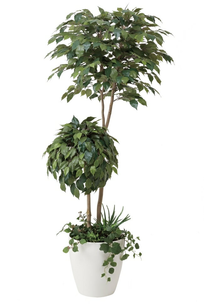光触媒　光の楽園ベンジャミンダブルフェイス植栽付 高さ1.8m【フェイクグリーン 大型 人工観葉植物】