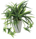 光触媒 光の楽園ドラセナ丸ポット【インテリアグリーン 人工観葉植物】