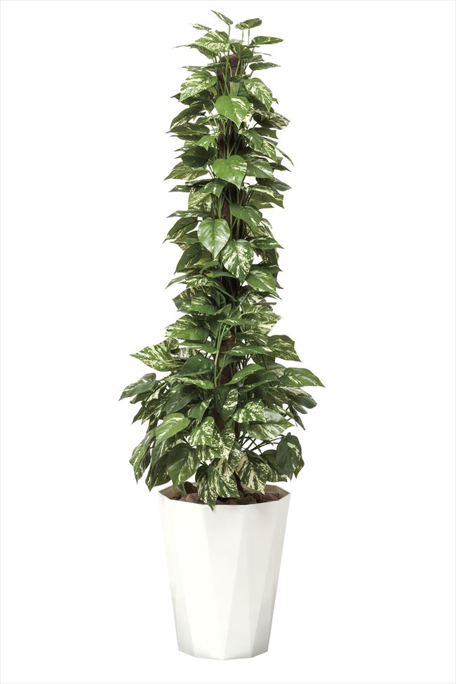 光触媒　光の楽園ポトス1.5m フェイクグリーン 人工観葉植物
