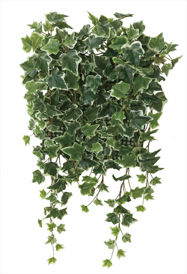 光触媒 光の楽園 壁面緑化斑入アイビー【壁掛け・リース・タペストリー 造花】
