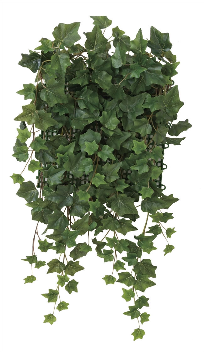 光触媒 光の楽園 壁面緑化アイビー【壁掛け・リース・タペストリー 造花】