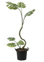 光触媒 光の楽園 インテリアモンステラ1.7m フェイクグリーン 大型 人工観葉植物(2025K260)(※ラッピング不可)