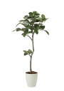 光触媒 光の楽園 ベンガル菩提樹1.35m フェイクグリーン 人工観葉植物(2031K255)【ラッピング不可】
