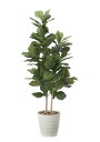 光触媒 光の楽園 カシワバゴム1.6m フェイクグリーン 大型 人工観葉植物(2126A380)(※ラッピング不可)
