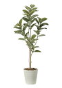 光触媒 光の楽園 アルテシマ 1.6m フェイクグリーン 大型 人工観葉植物(2219A280)