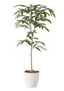 光触媒 光の楽園 アムステラバーキング 1.6m フェイクグリーン 大型 人工観葉植物(2249A300)