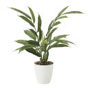 光触媒 光の楽園 アムステルラバーキング 55 フェイクグリーン 人工観葉植物(2256A80)