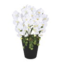 光触媒 光の楽園 プリンセス胡蝶蘭W【アートフラワー 造花 コチョウラン】(2266K60)【ラッピング不可】